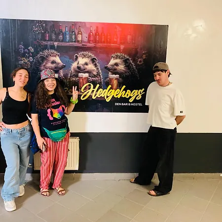 Vandrerhjem Hedgehogs Backpackers Riga