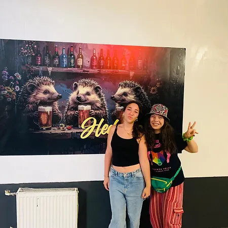 Hedgehogs Backpackers