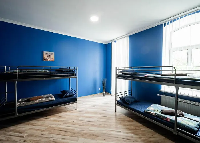 Hostel Hedgehogs Backpackers *