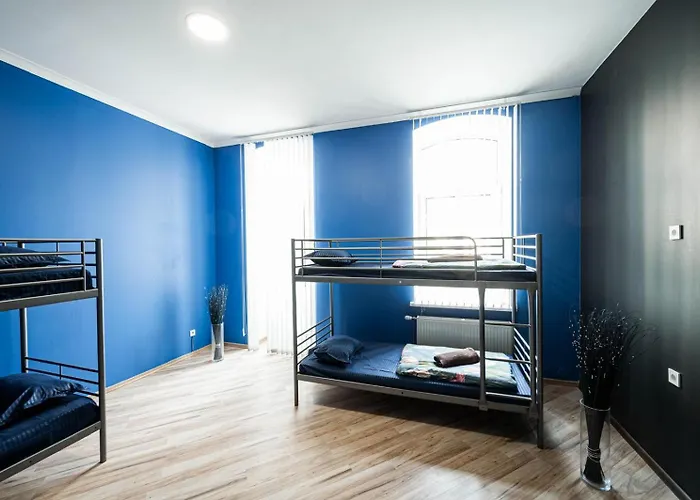 旅馆 Hedgehogs Backpackers *