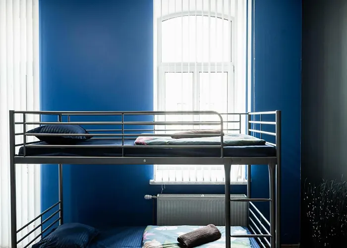 Hostel Hedgehogs Backpackers