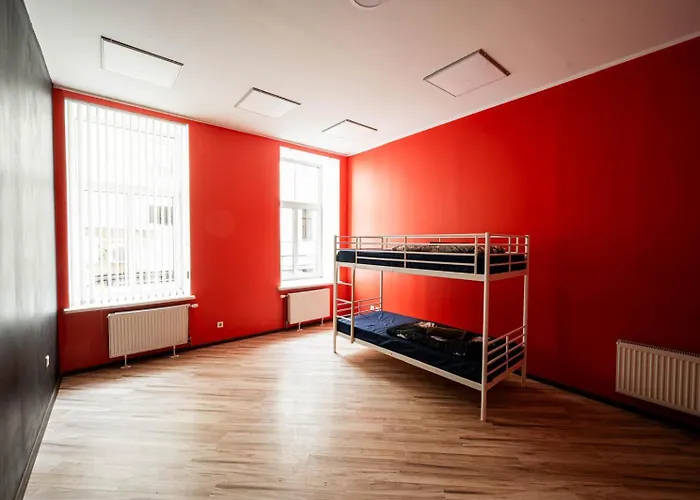 Hedgehogs Backpackers 旅馆