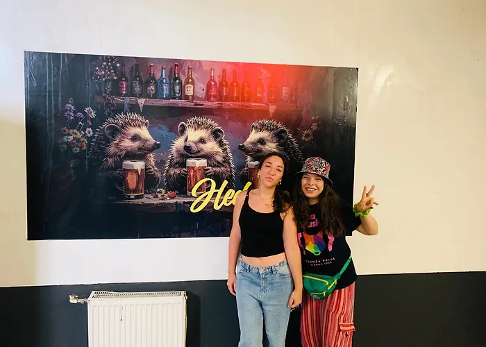 Hedgehogs Backpackers