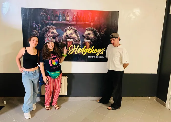 旅馆 Hedgehogs Backpackers 里加