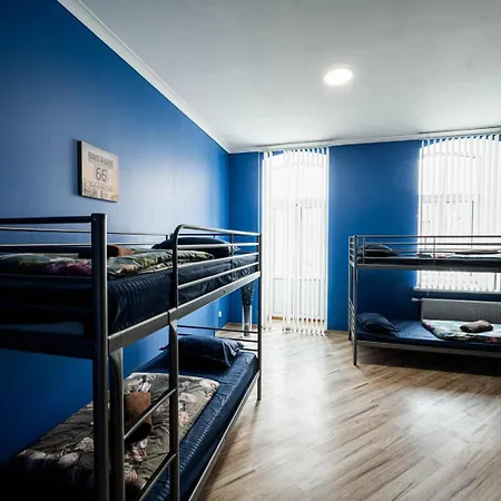 Hedgehogs Backpackers