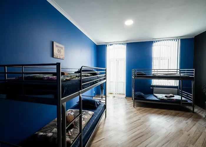 Hedgehogs Backpackers